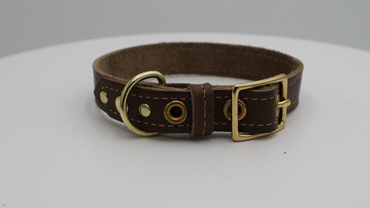 Rustic Renegade (Brass) Dog Collar