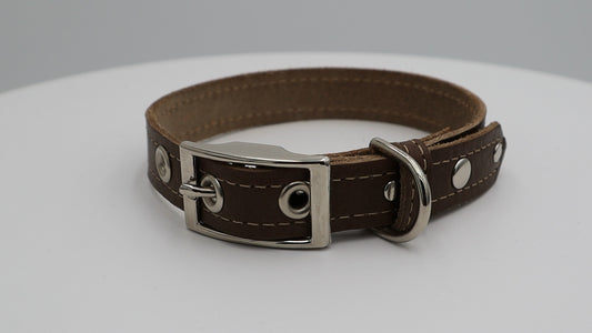Rustic Renegade (Silver) Dog Collar
